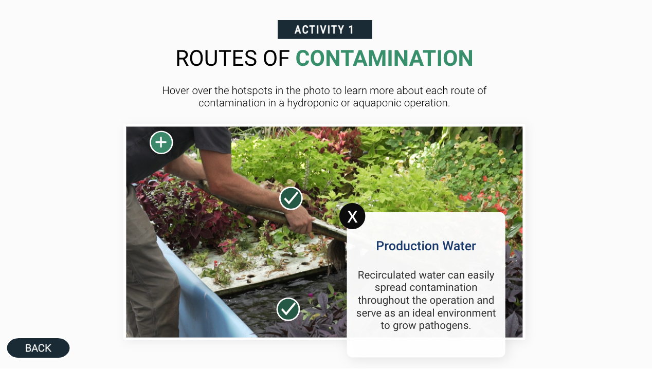 Photo of a hydroponic operation