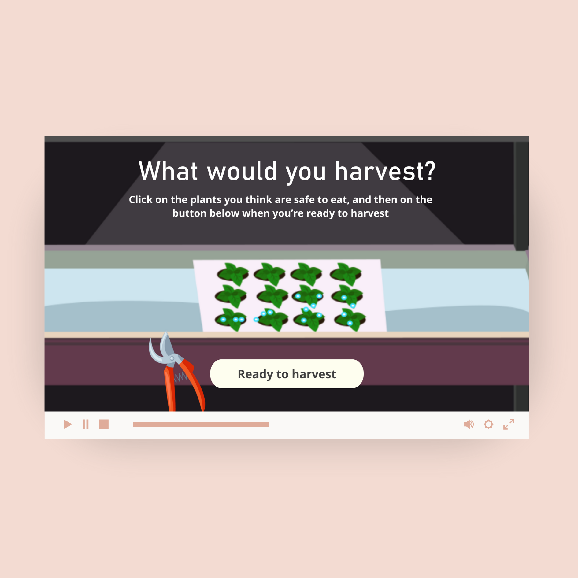 thumbnail of the Hydroponics interactive video
