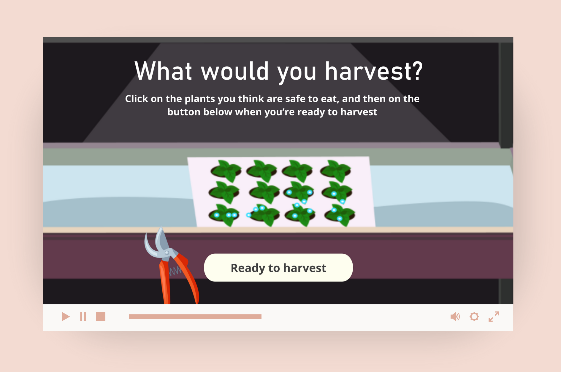 thumbnail of the harvest interactive video